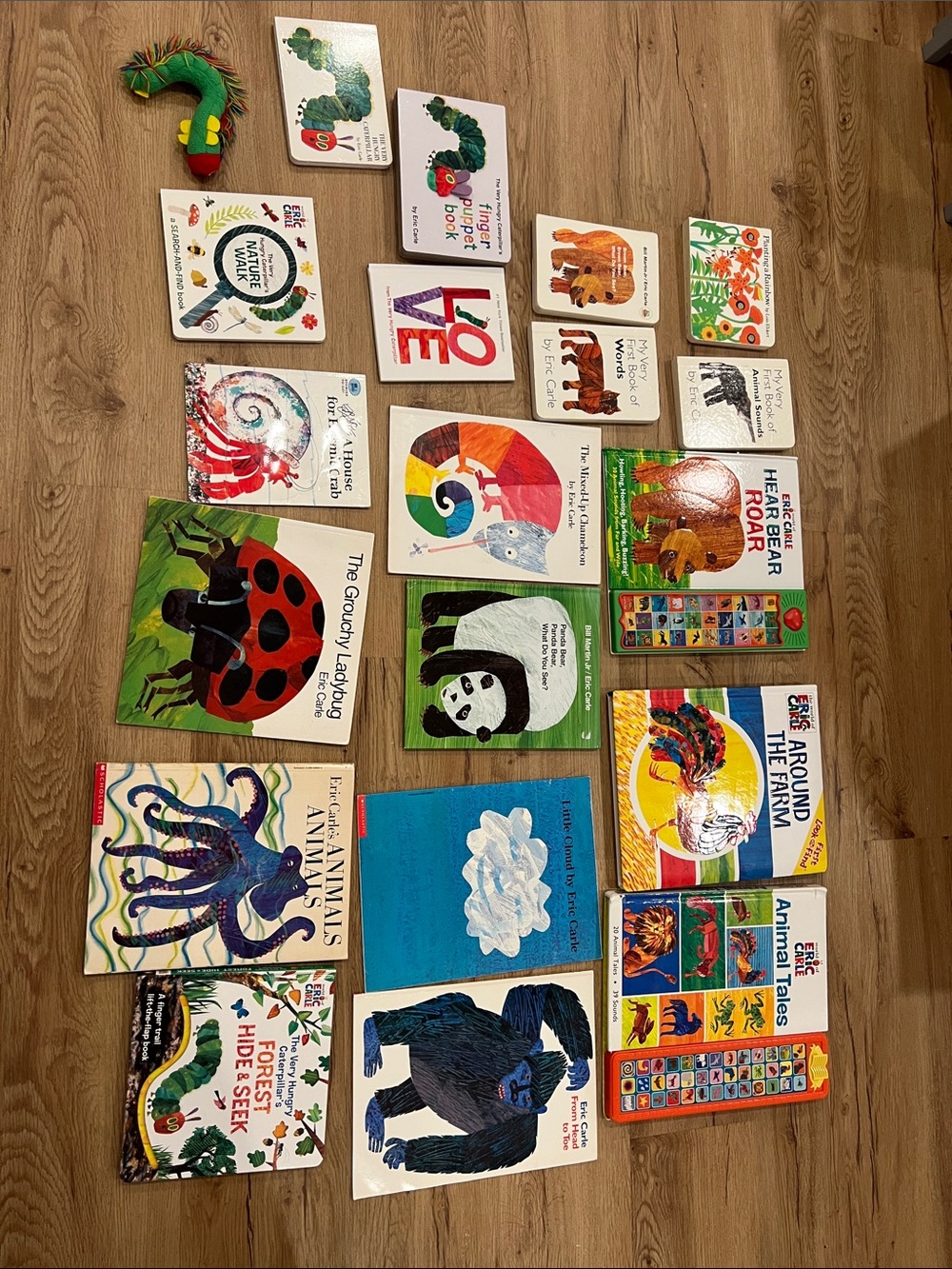 Colorful Educational Animal Board Books Set - Green/Multicolor